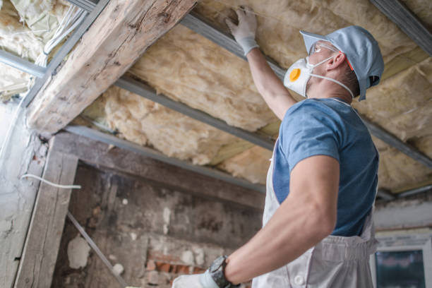 Best Specialized Insulation Services in , MT